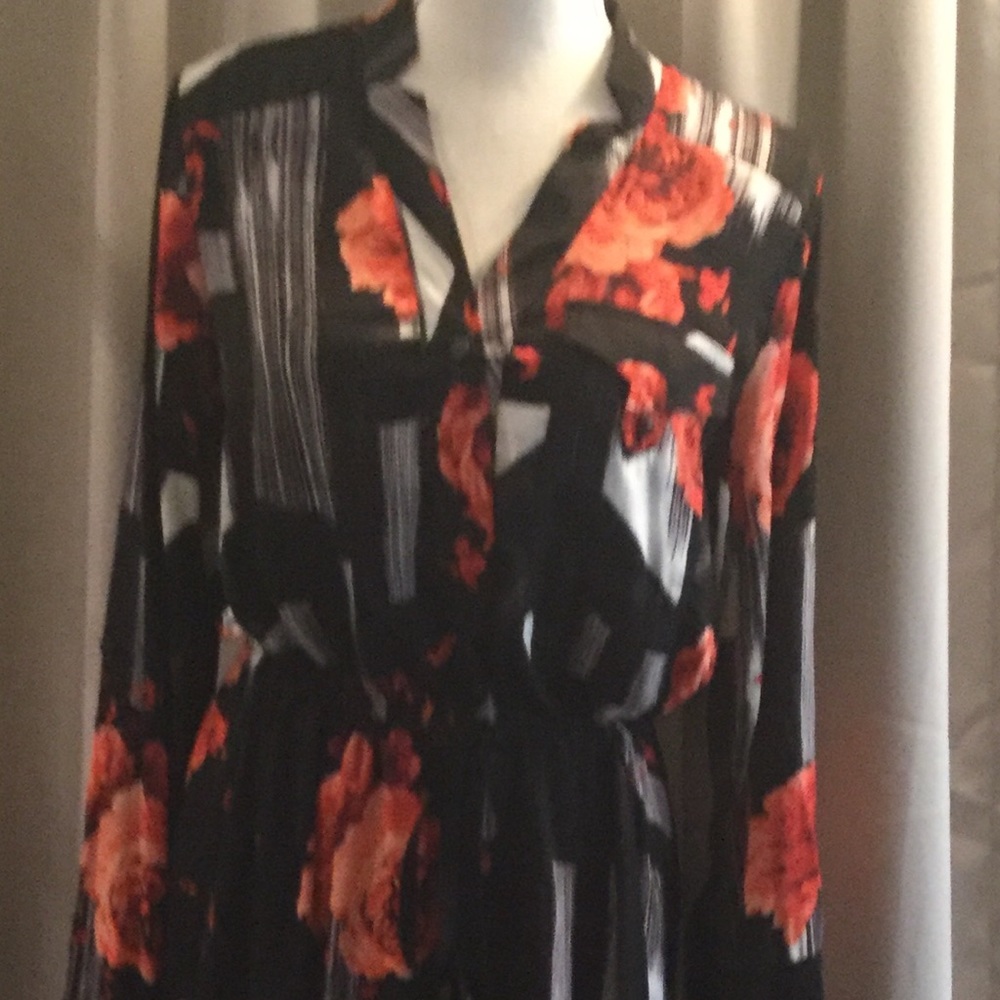 Simply Vera dress